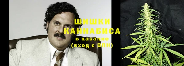 дмт Белокуриха