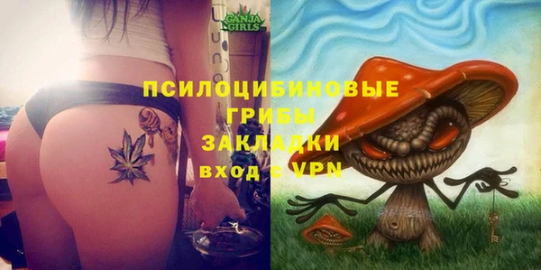 дмт Белокуриха